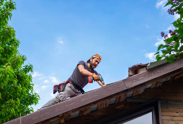 Best Storm Damage Roof Repair  in Sardis, MS